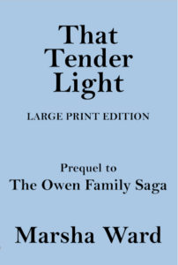 Front cover of That Tender Light